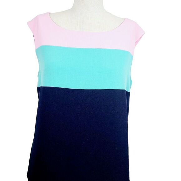 Betsey Johnson Dress 6 Pink Green Black Colorblock Sleeveless Knee Length Shift - Picture 2 of 7